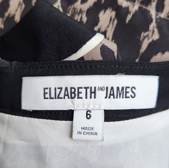 Elizabeth and James Montana Leopard Silk Short Sleeve Mini Dress Sz 6 Revolve - Picture 4 of 11